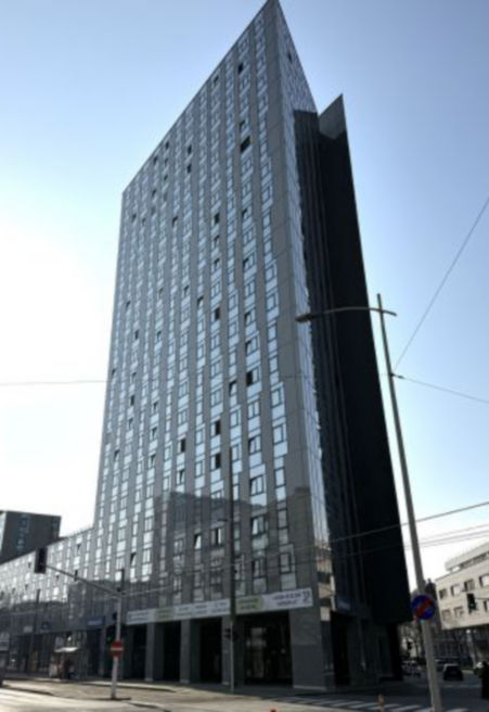 HighFiveLinz_Image3PORT:451x656%2811-16%29