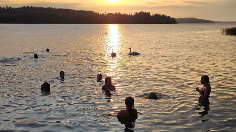 People swimming in a lake with two swans at sunset.