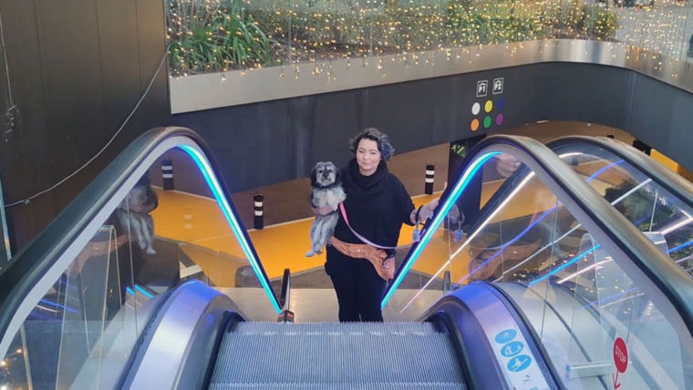 KONE-Dogs-in-the-city-Louise-Feaheny-1.jpg-OriginalFile:760x428%2816-9%29