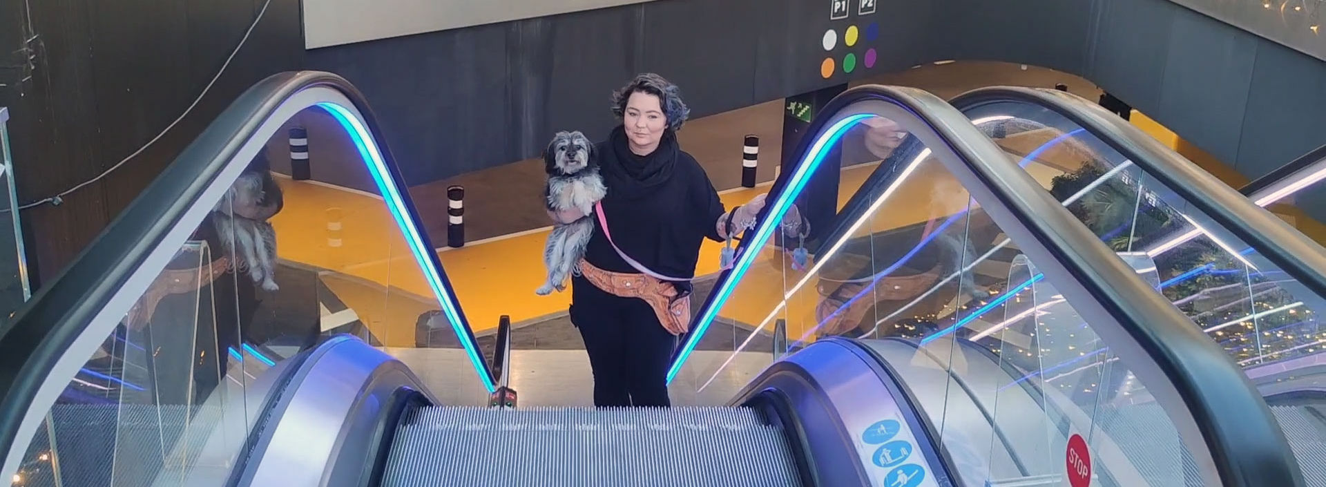 Woman using escalator in shopping center carrying her small dog.