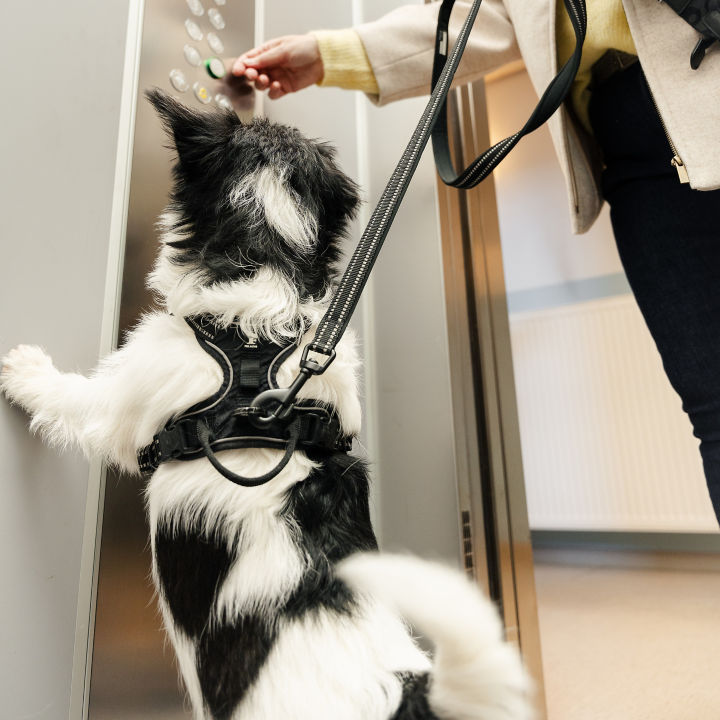 KONE_Lahiti_16:720x720%281-1%29