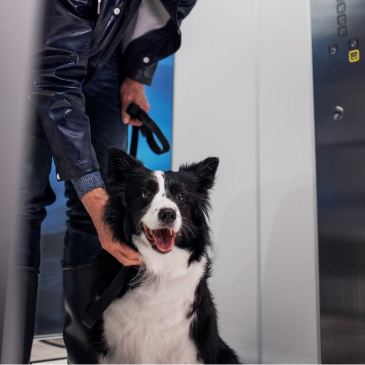 KONE_Launch_Man_with_Dog-Portrait-_resized_cropped_square:720x720%281-1%29