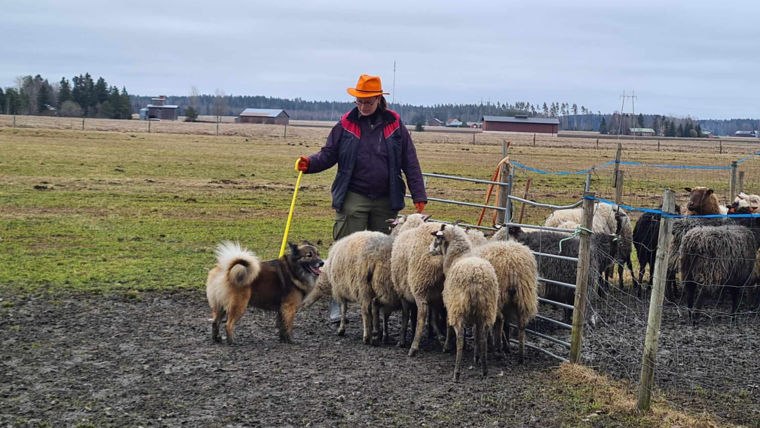 LeenaLehti7:760x428%2816-9%29