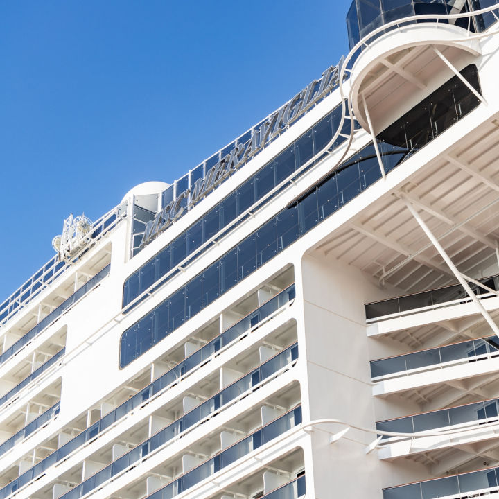 MSC_Meraviglia_2-1:720x720%281-1%29