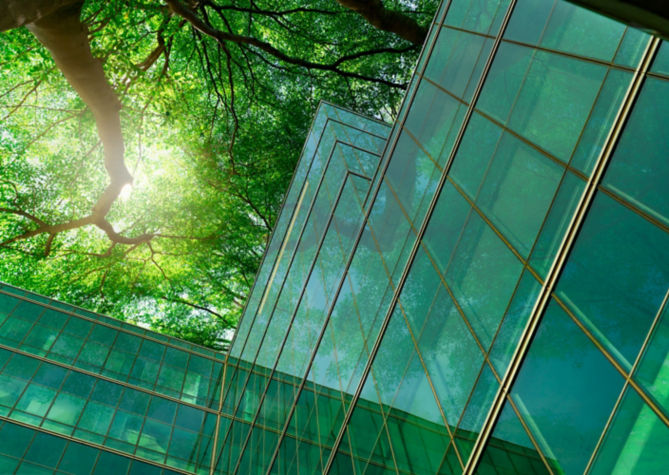 Edificio ecológico en la ciudad moderna. Ramas de árbol verdes con hojas y edificio de cristal sostenible para reducir el calor y el dióxido de carbono. Edificio de oficinas con entorno verde