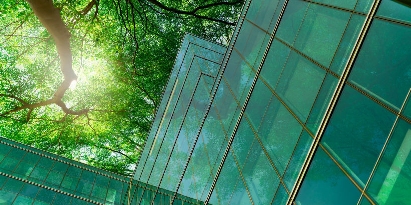 Edificio ecológico en la ciudad moderna. Ramas de árbol verdes con hojas y edificio de cristal sostenible para reducir el calor y el dióxido de carbono. Edificio de oficinas con entorno verde