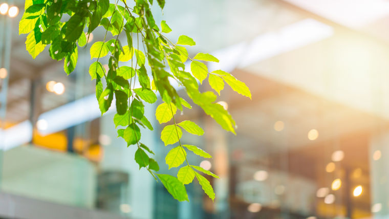 decarbonized_buildings:760x428%2816-9%29