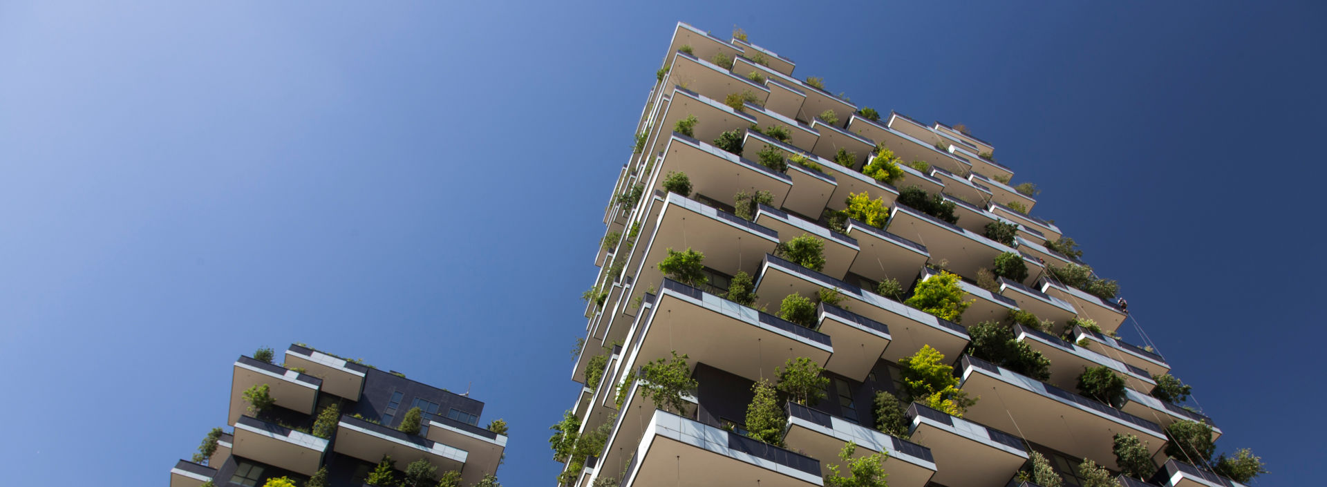 Two residential towers with facades covered with plants and trees.