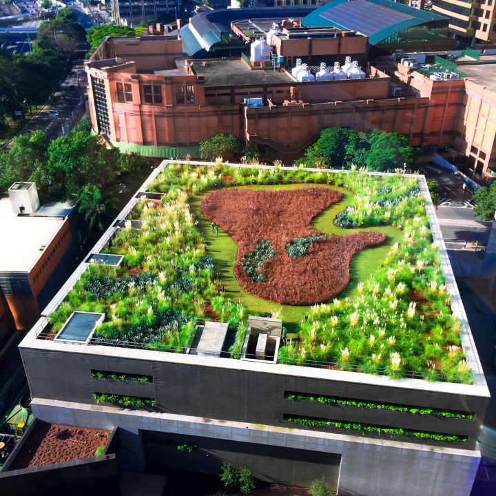 green_roof_s%C3%A3o_paulo_brazil:720x720%281-1%29