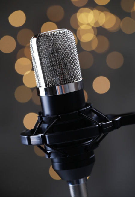 microphone-1:451x656%2811-16%29