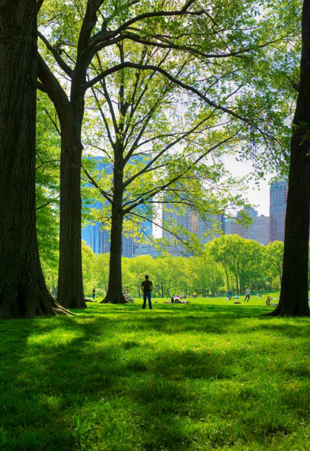 offset_147936:451x656%2811-16%29