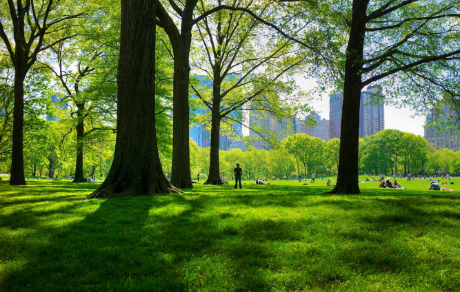 offset_147936:667x424