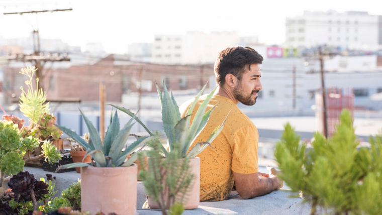 Man in yellow T-shirt sitting among plants on a urban roof garden in the sunshine.