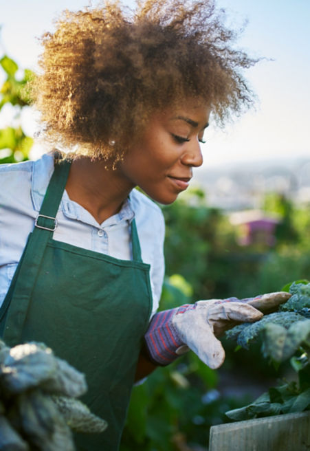 shutterstock_1048778918:451x656%2811-16%29