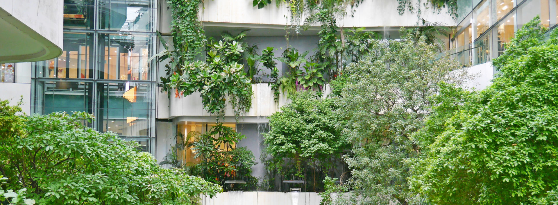 Vertical garden with green trees on the building.