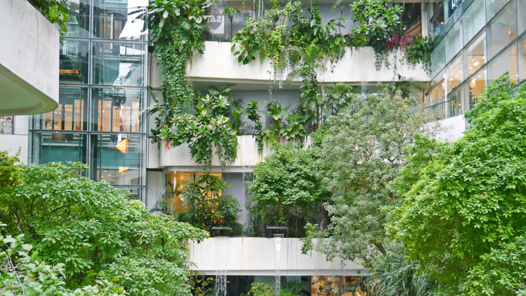 Vertical garden with green trees on the building.