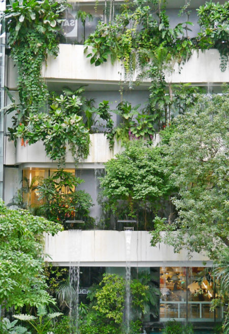 shutterstock_1247221735:451x656%2811-16%29