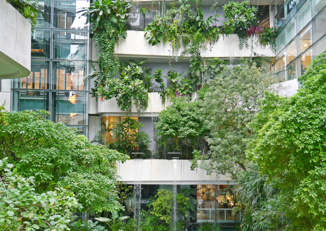 shutterstock_1247221735:669x475