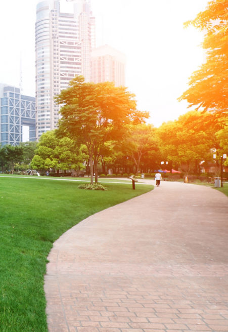 shutterstock_134622077_city_greenery_park:451x656%2811-16%29