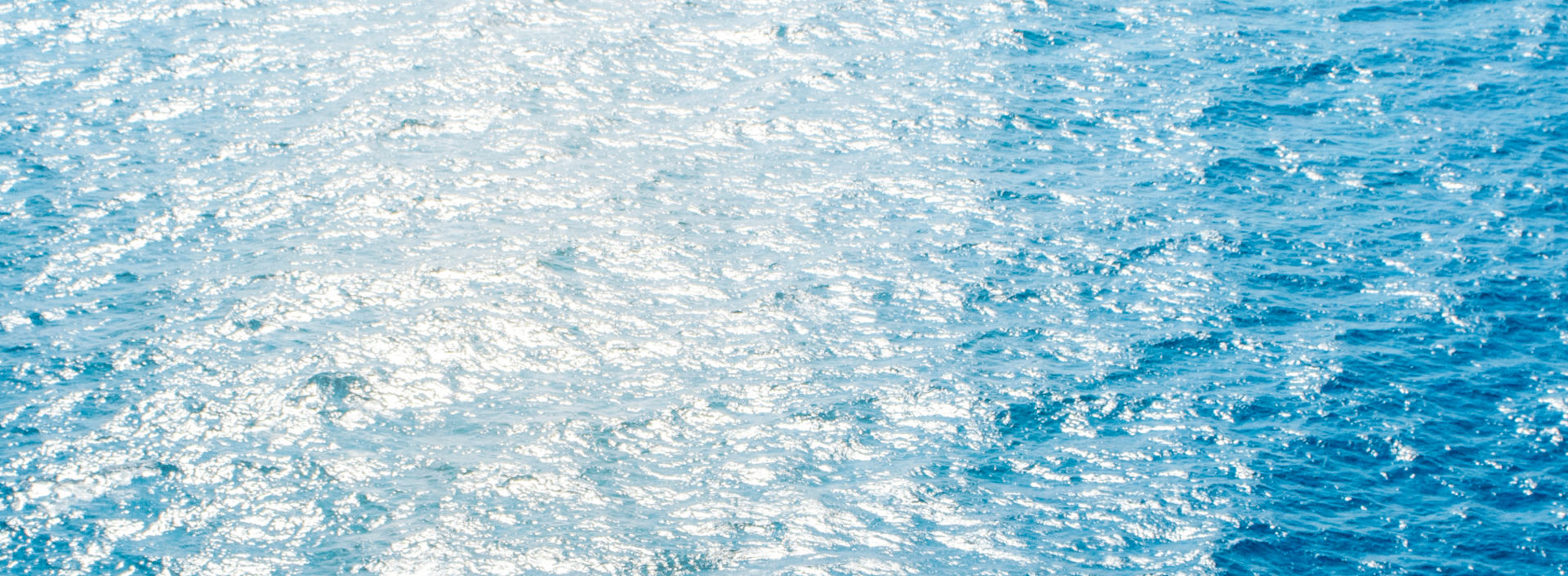 shutterstock_1401545264:1920x705%28hero%29