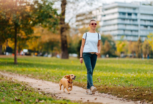 shutterstock_1535291528:535x365