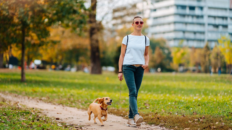 shutterstock_1535291528:760x428%2816-9%29