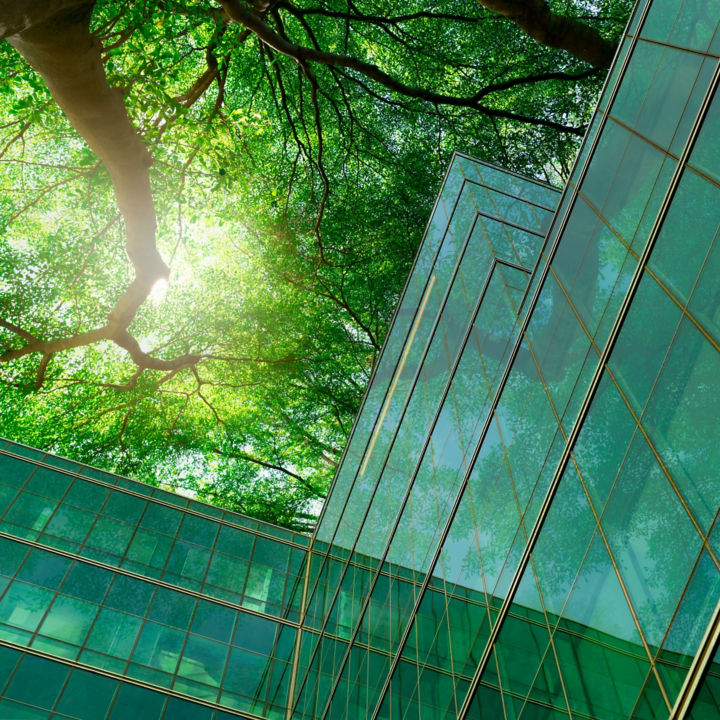 Eco-friendly building in the modern city