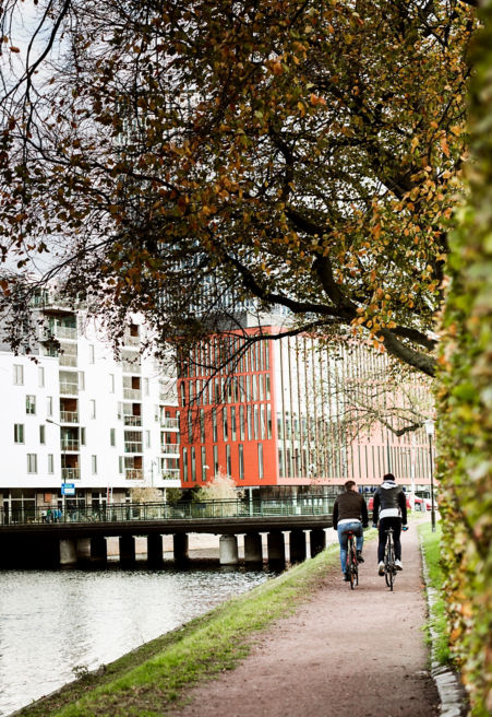 shutterstock_2298090281:451x656%2811-16%29