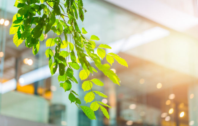 shutterstock_687203815_city_green:667x424