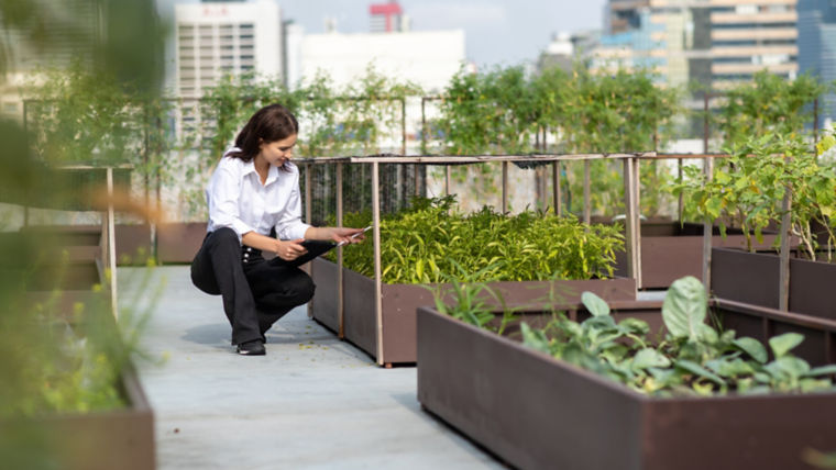 woman_on_a_green_rooftop-2:760x428%2816-9%29