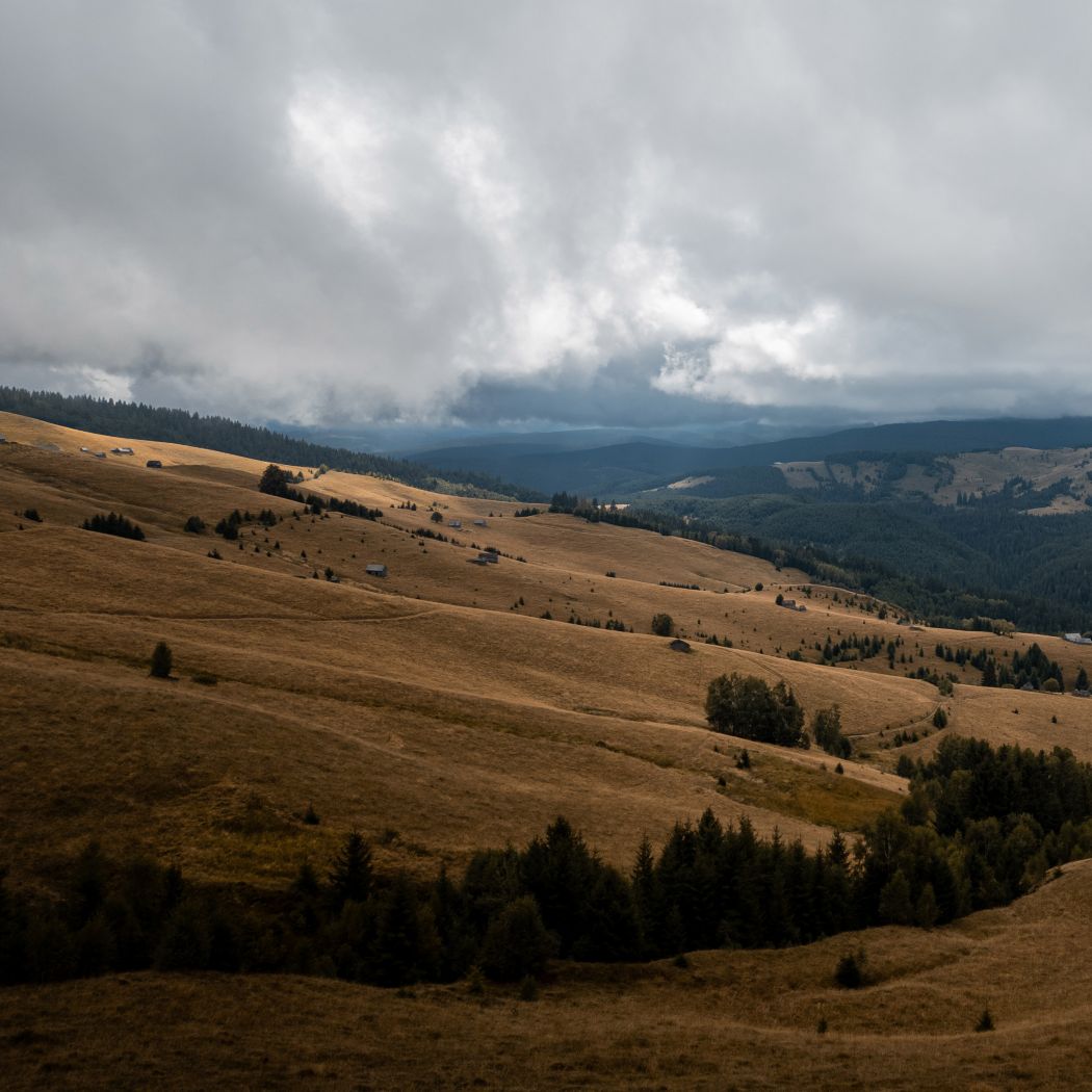 ktmボタニカル KTM トラベル バイク - 無限の冒険 | KTM 日本