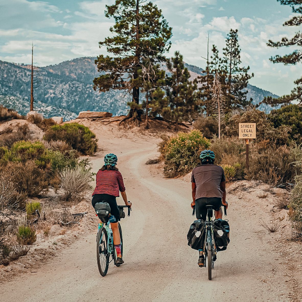 Vélos de Gravel - Panorama Cycles - Backcountry Bicycles Co.