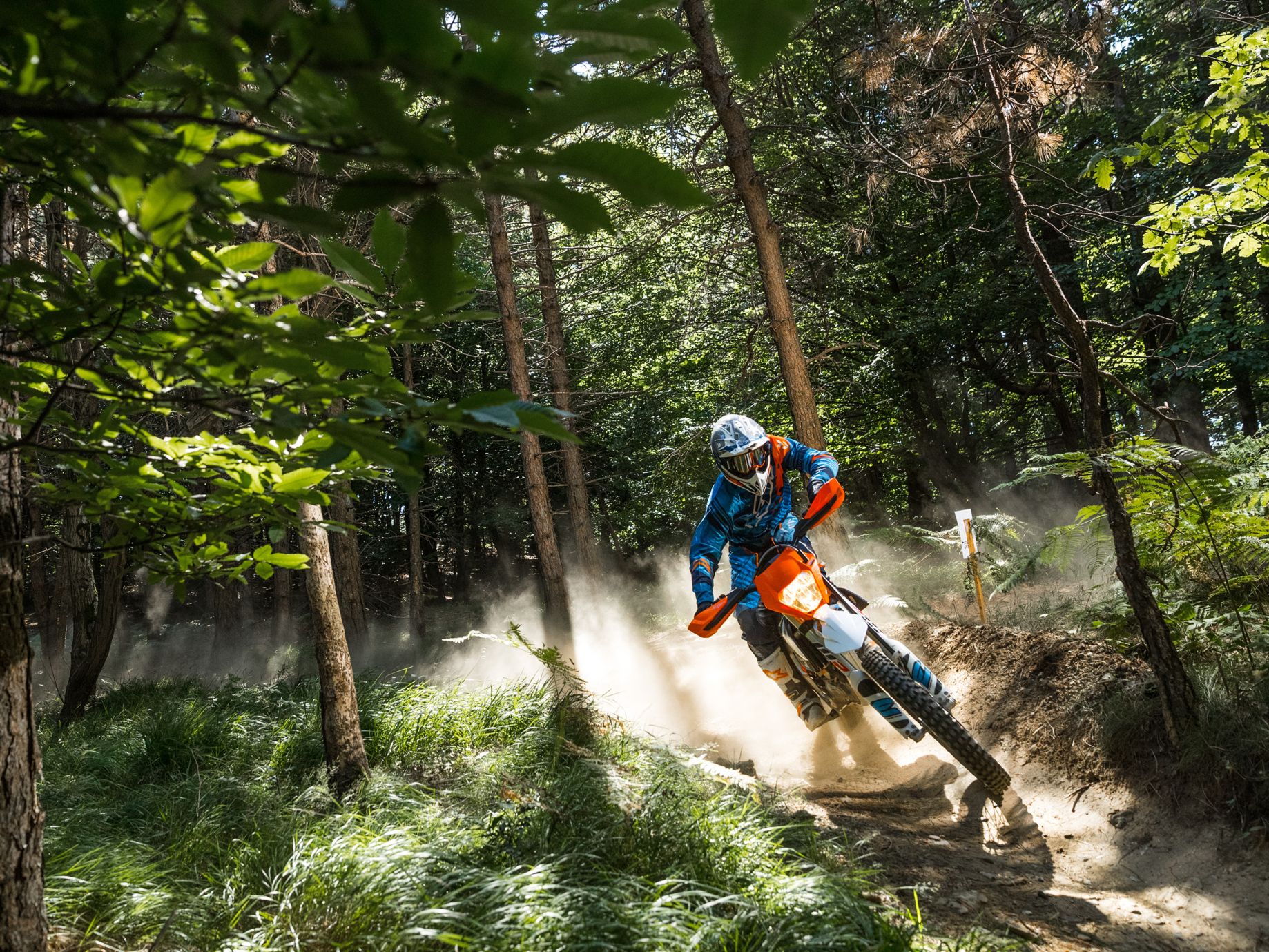 Ktm freeride deals e bike