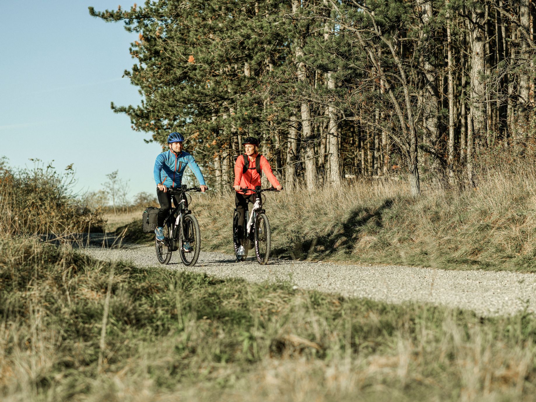 Trekking store bike meaning