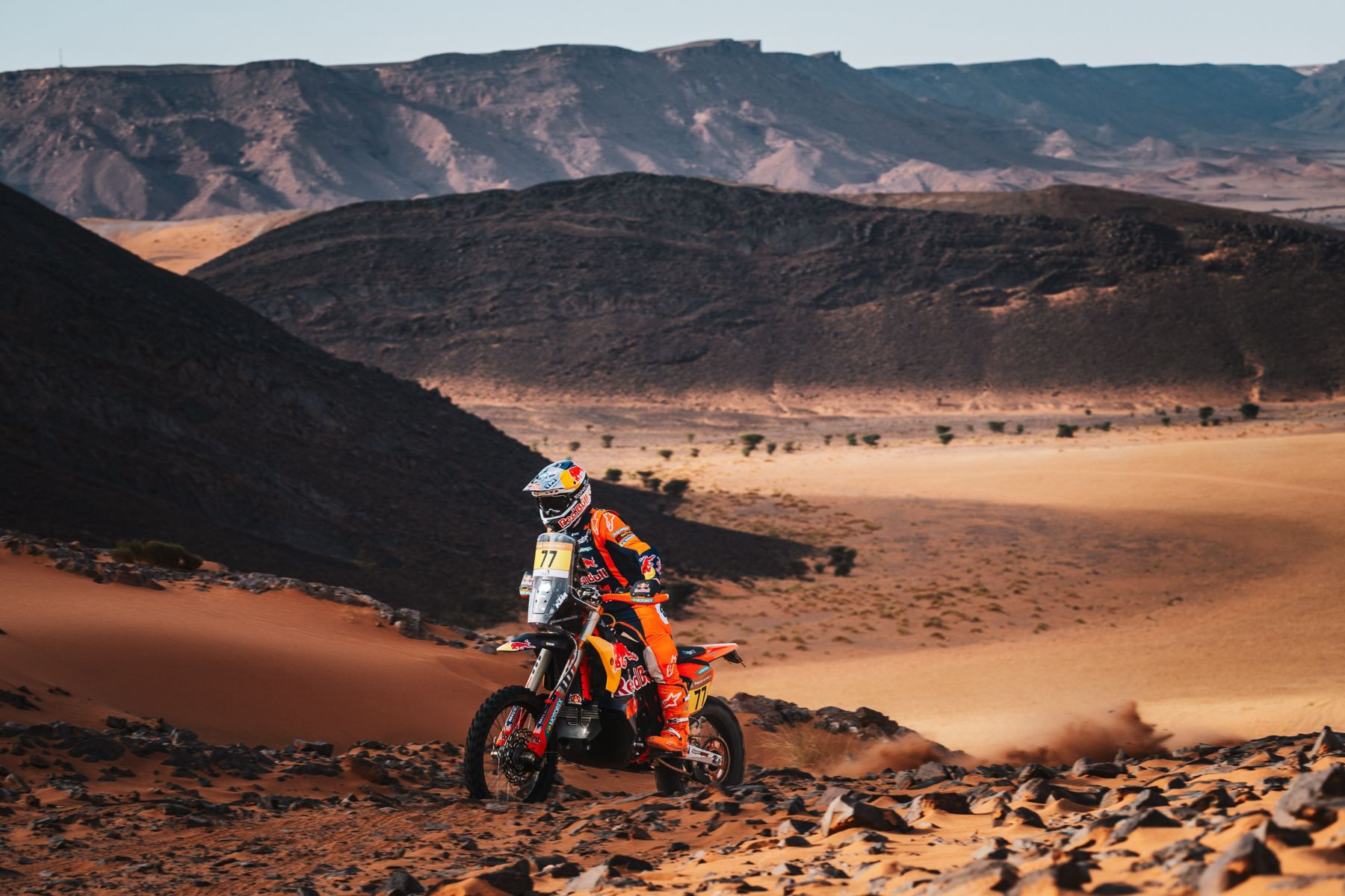 EDGAR CANET WINS 2026 RALLYE DU MAROC