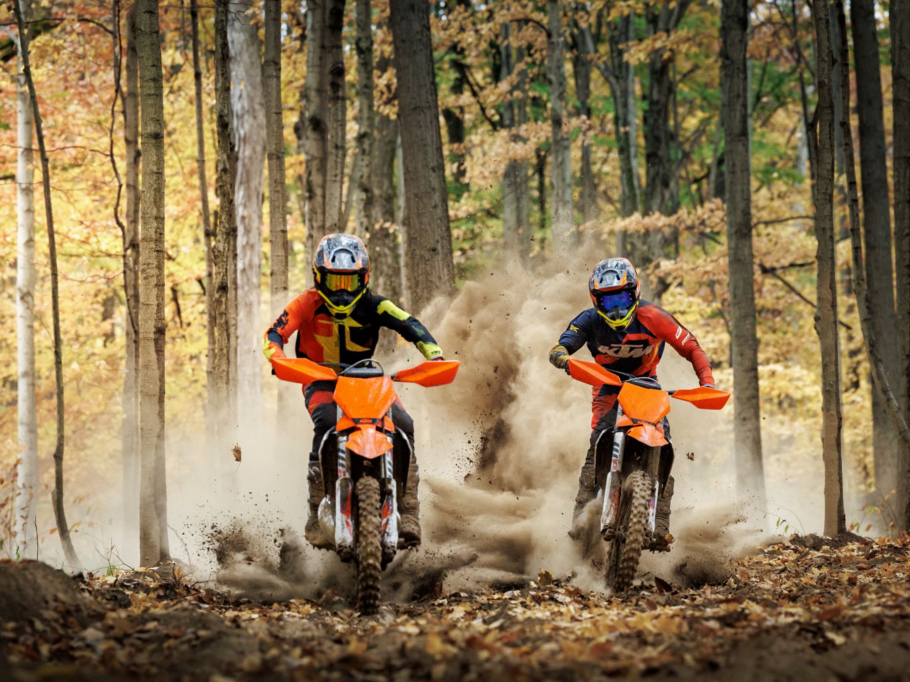 Ktm xc shop