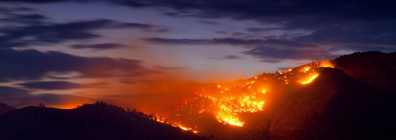 Grid Resilience Header Image - 2