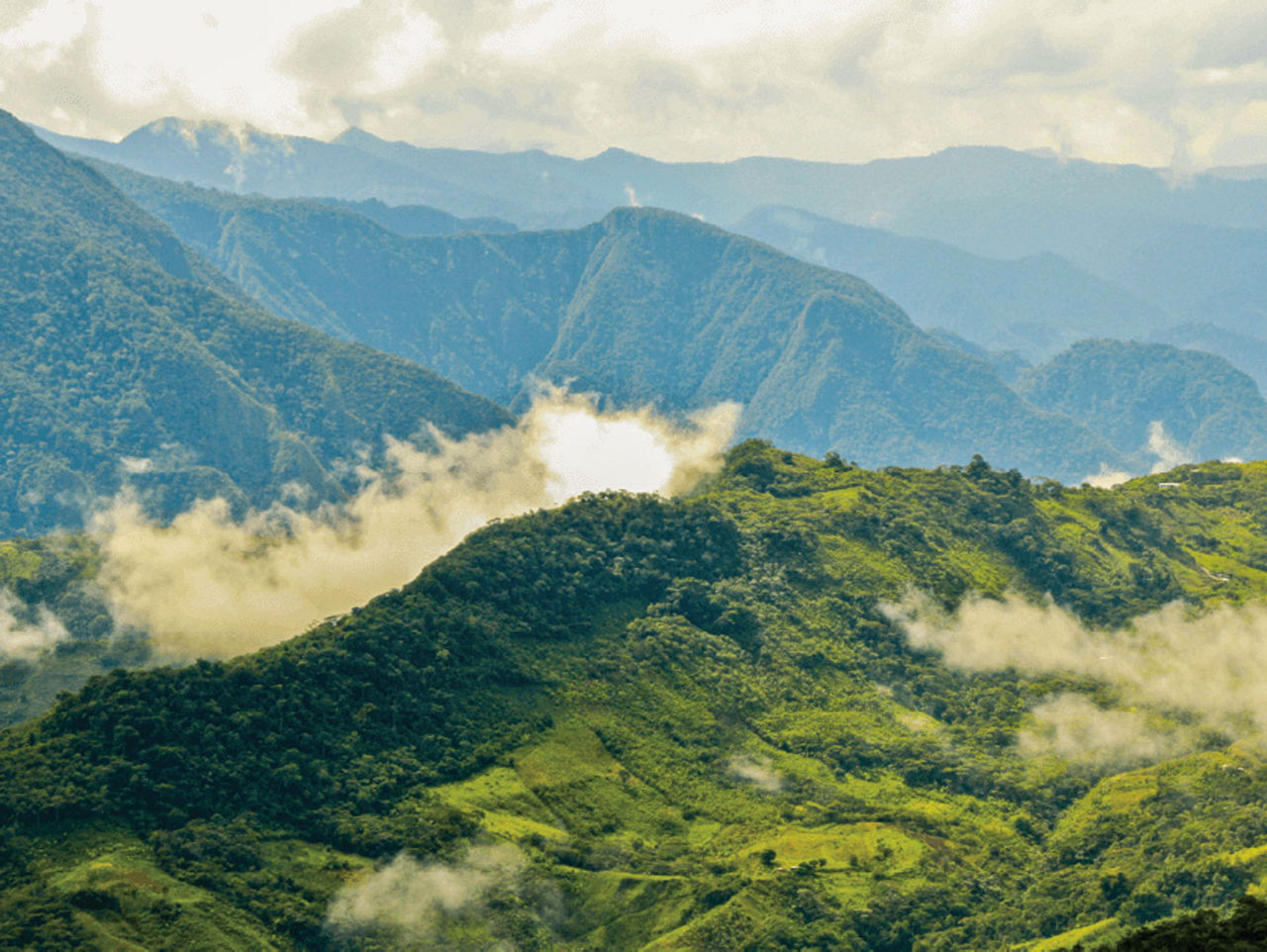 Esta é uma imagem de um medidor Revelo