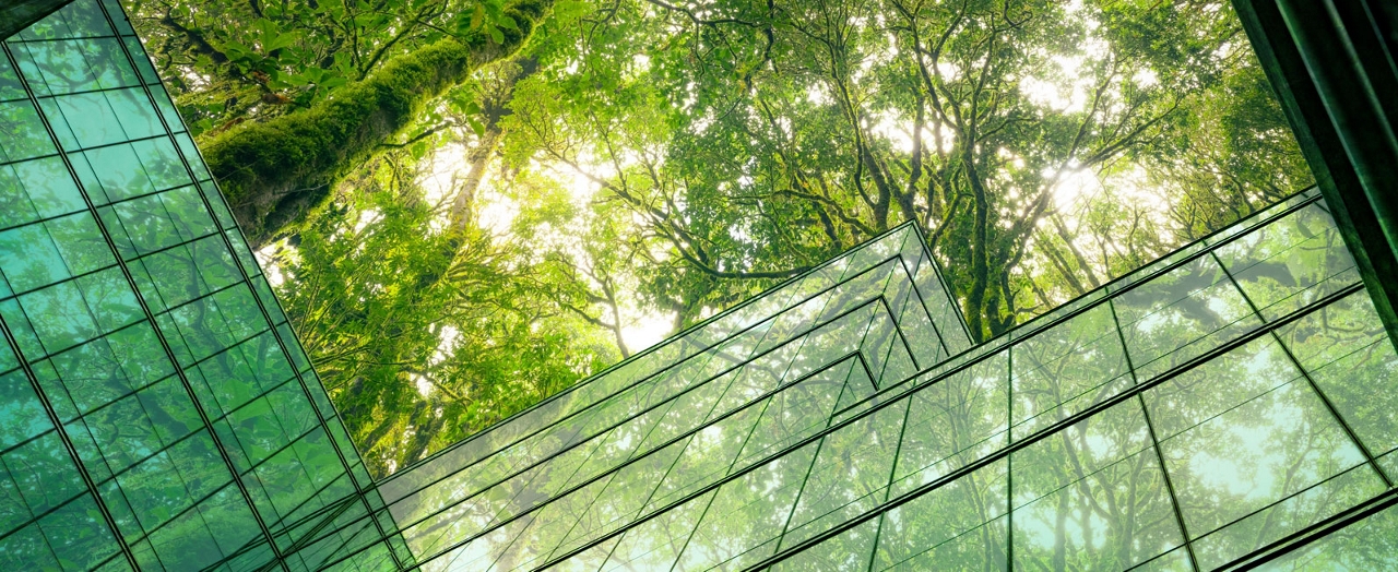 Edificio ecológico en la ciudad moderna. Edificio de oficinas sostenible de cristal con árbol para reducir el calor y el dióxido de carbono. Edificio de oficinas con entorno verde. Los edificios corporativos reducen el CO2.