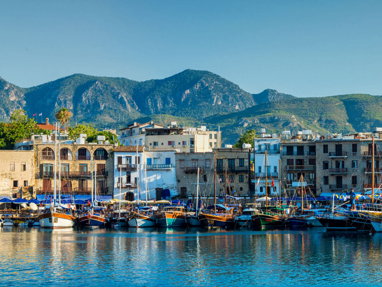 This is an image of a Revelo meter