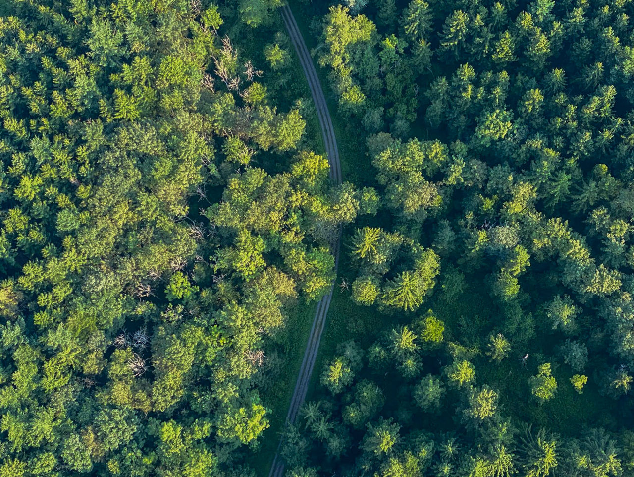 Esta es una imagen de un medidor Revelo