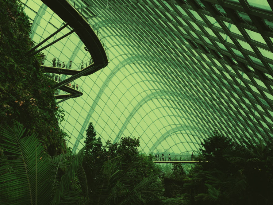 Mid-Term Guidance & Dividend Policy