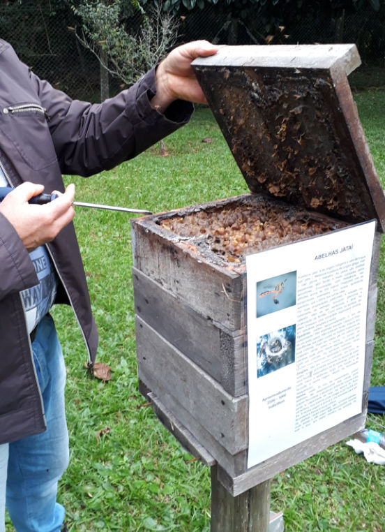 picture of bee keeper with beehive