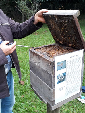 Photo d’apiculteur avec ruche