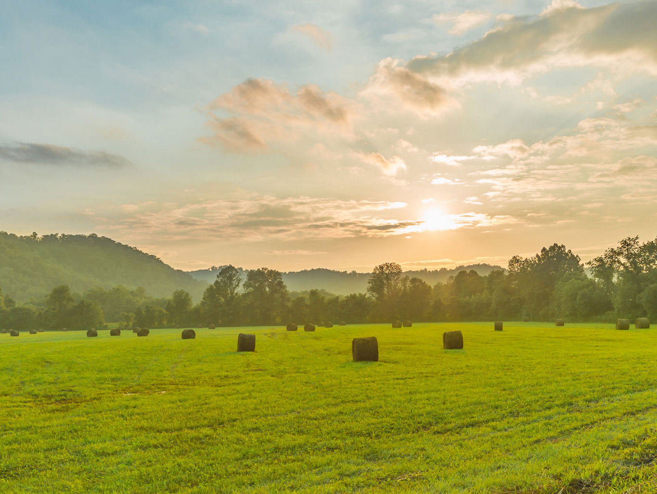 This is an image of a Revelo meter