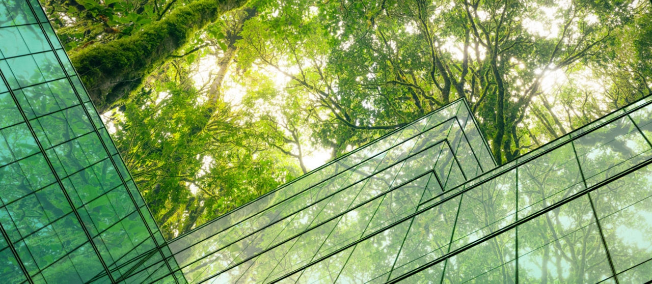 who-we-are--1920x1280-V2-.jpeg - 4