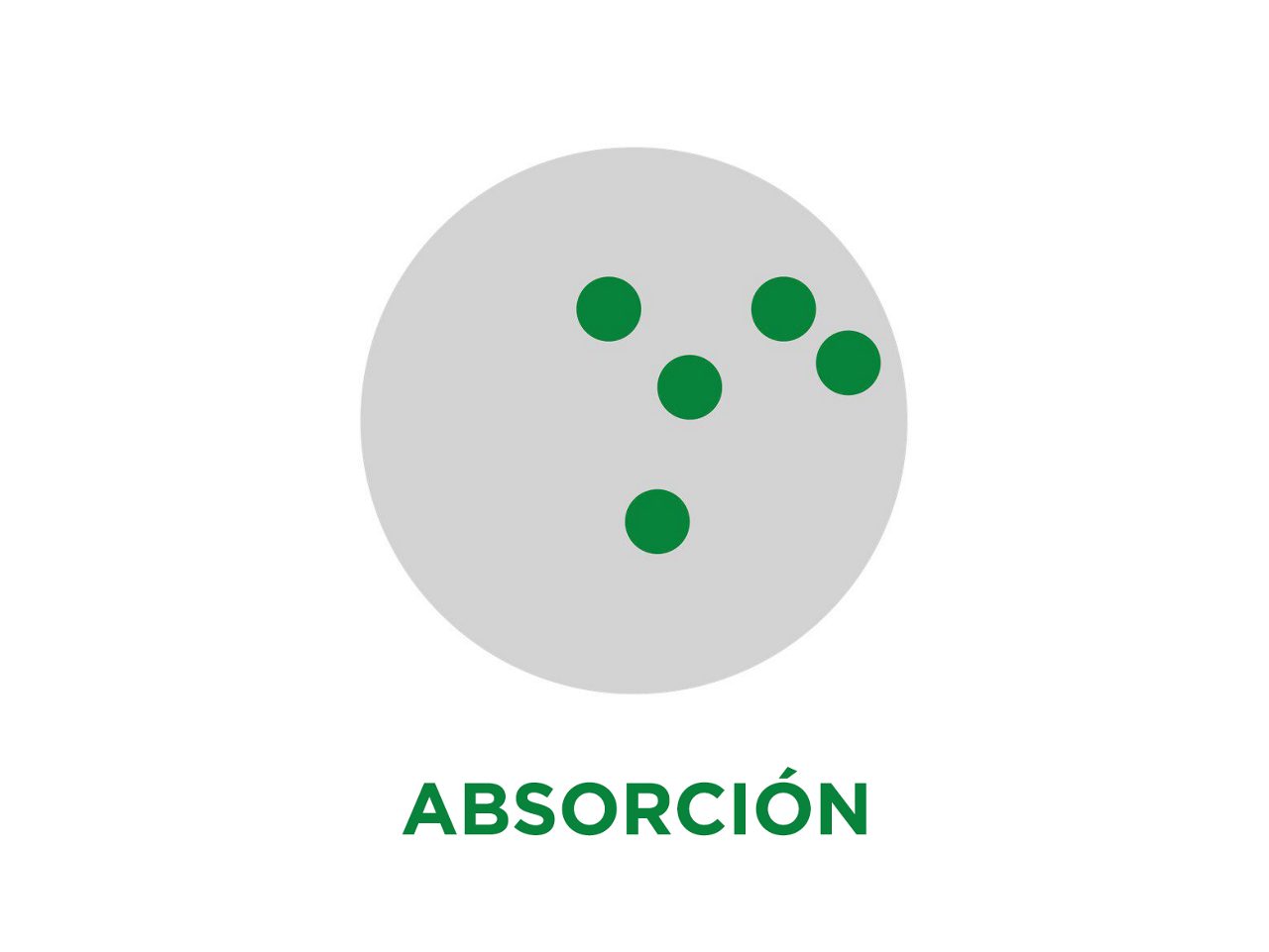 Absorción