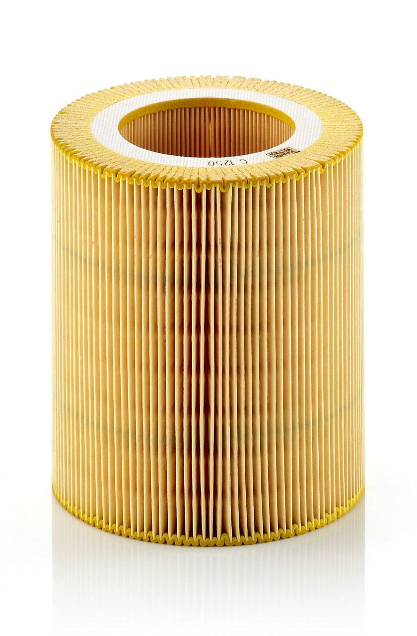 Product Image C1250_MANN-FILTER