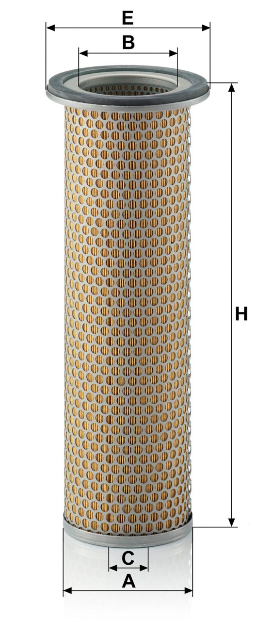 Product Image C12100_MANN-FILTER