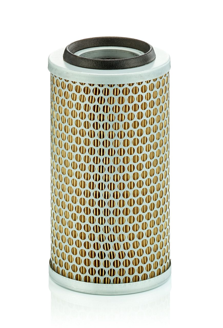 Product Image C13131_MANN-FILTER